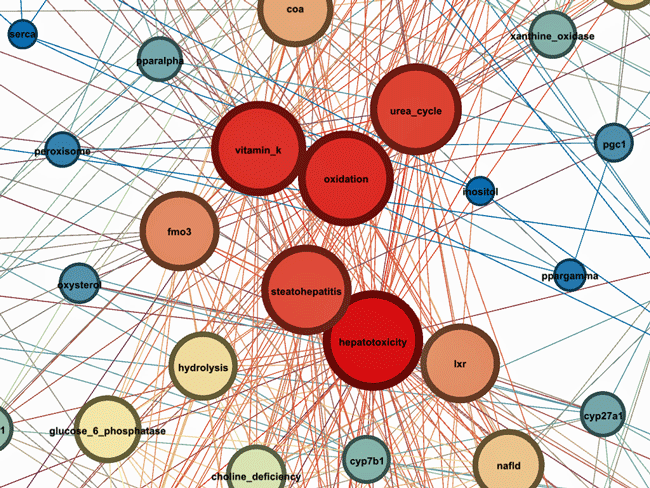 ME/CFS and allied disease knowledge map 