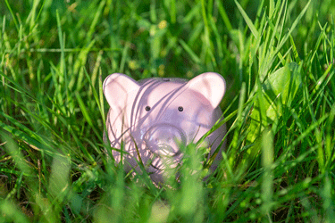 Grass piggy