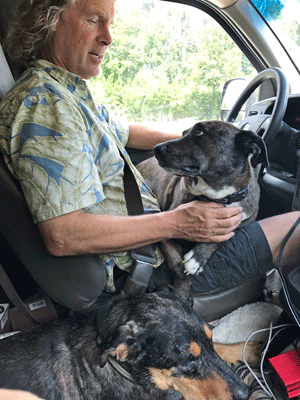 River on my lap in the van