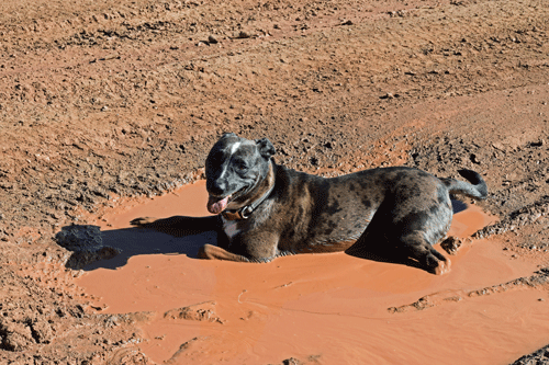 River mud