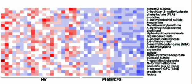 CSF metabolites