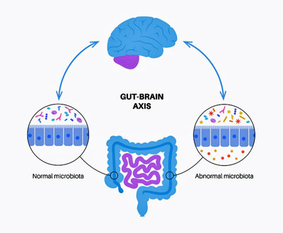 gut-brain-axis