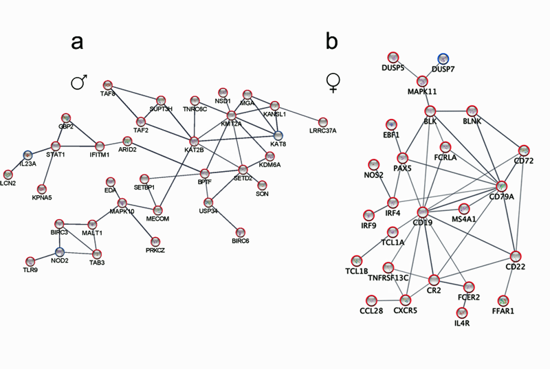 Immune networks men and women with ME/CFS