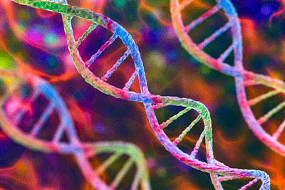 Colorful genes
