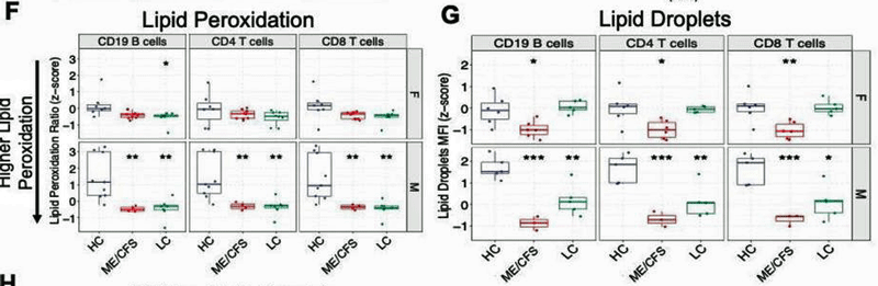 Note the increased lipid peroxidation in ME/CFS and long COVID patients (red/green )(lower score = more lipid peroxidation) and dramatically reduced levels of lipid droplets which mop up damaged lipids in the ME/CFS group in particular. 