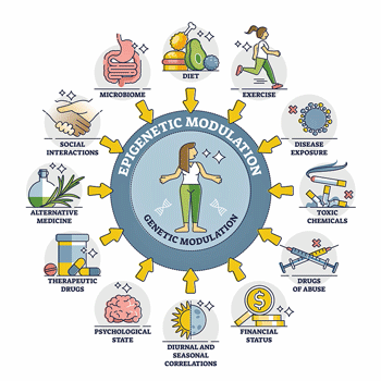 Epigenetic modifications