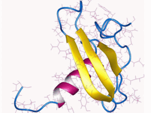 Eotaxin