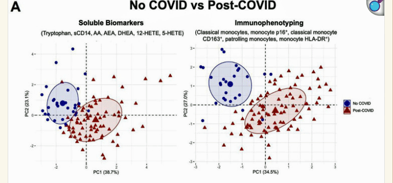No COVID vs Post COVID