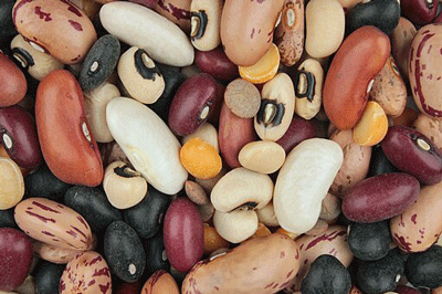 Beans 
