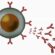 Daratumumab: Could it be the B-cell Depleter ME/CFS, FM and Long COVID Need?