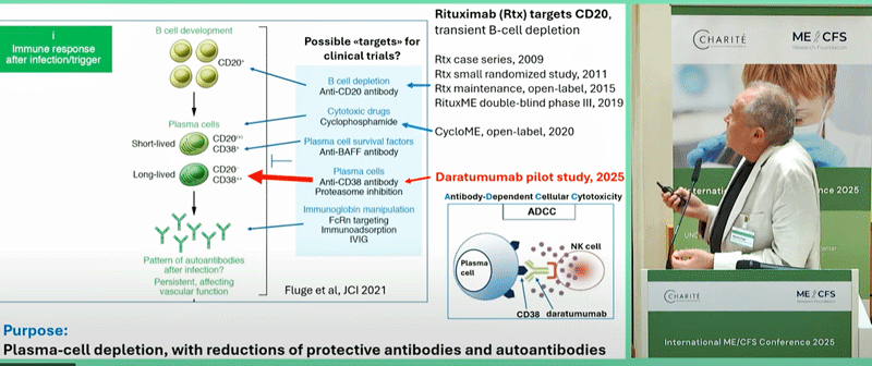 The Norwegian B-cell depletion saga from Oystein Fluge. 