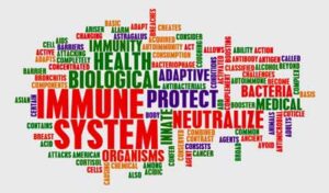 immune system