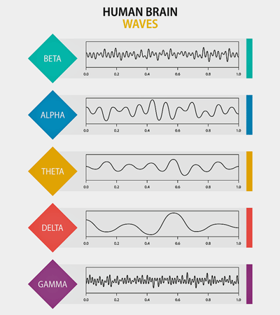 Brain waves