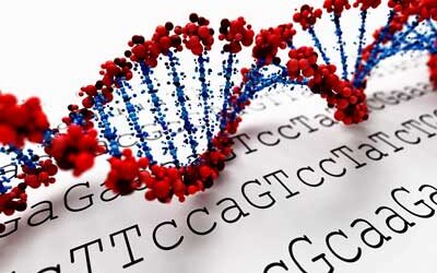 DNA