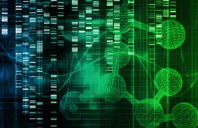 Big genetic study