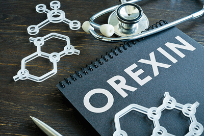 orexin