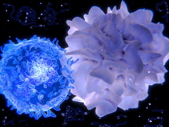 T-cells
