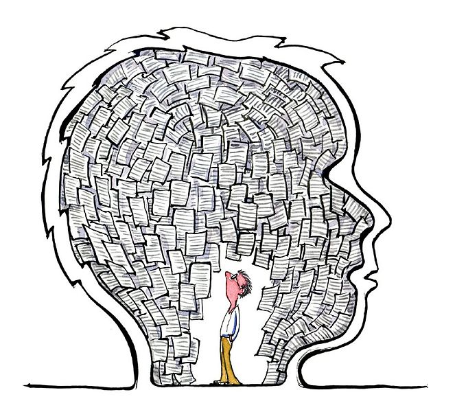 brain