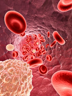 red blood cells