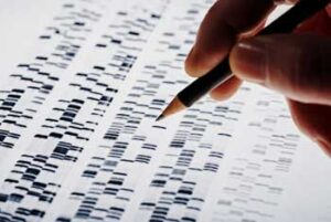 DNA analysis