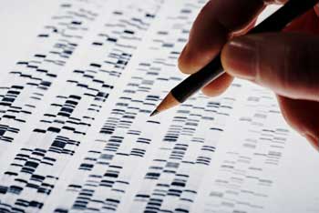 DNA analysis