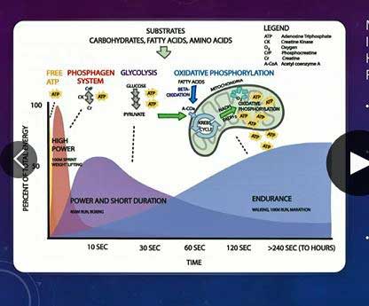 fatty acid oxidation exercise.