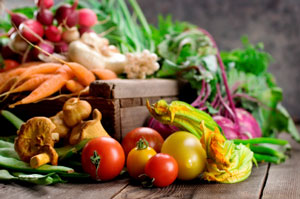 plant based diets
