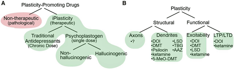 Psychedelics, antidepressants and neuroplasticity