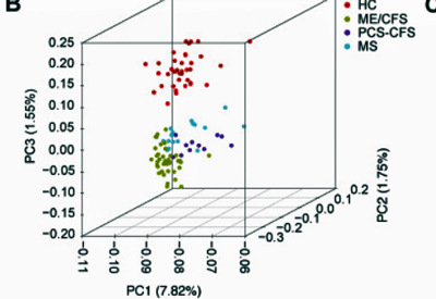 PCA analysis proteome