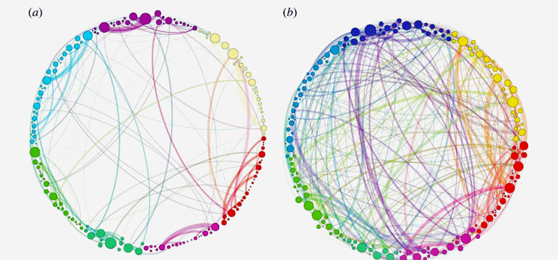Brain on psilocybin