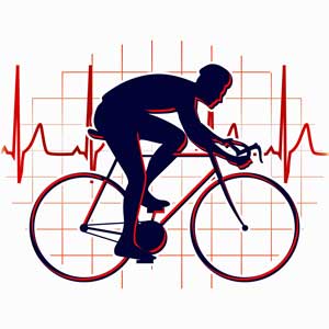 bicycle and heart rate