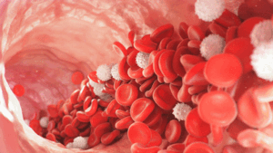 Blood vessel