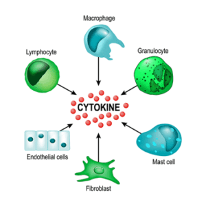 Cytokines