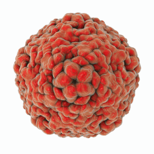 Enteroviruses