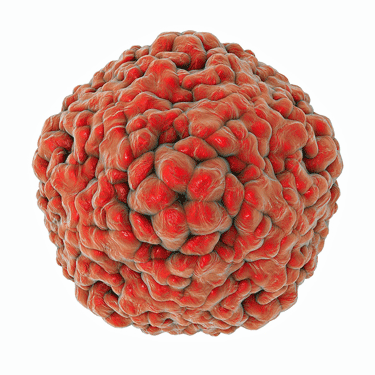 Enteroviruses