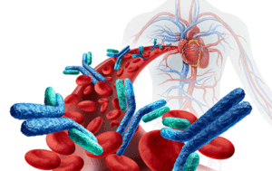 antibodies in blood Long COVID