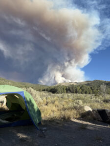 Mt Ward fire
