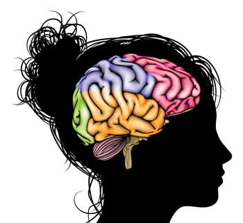woman brain abstract