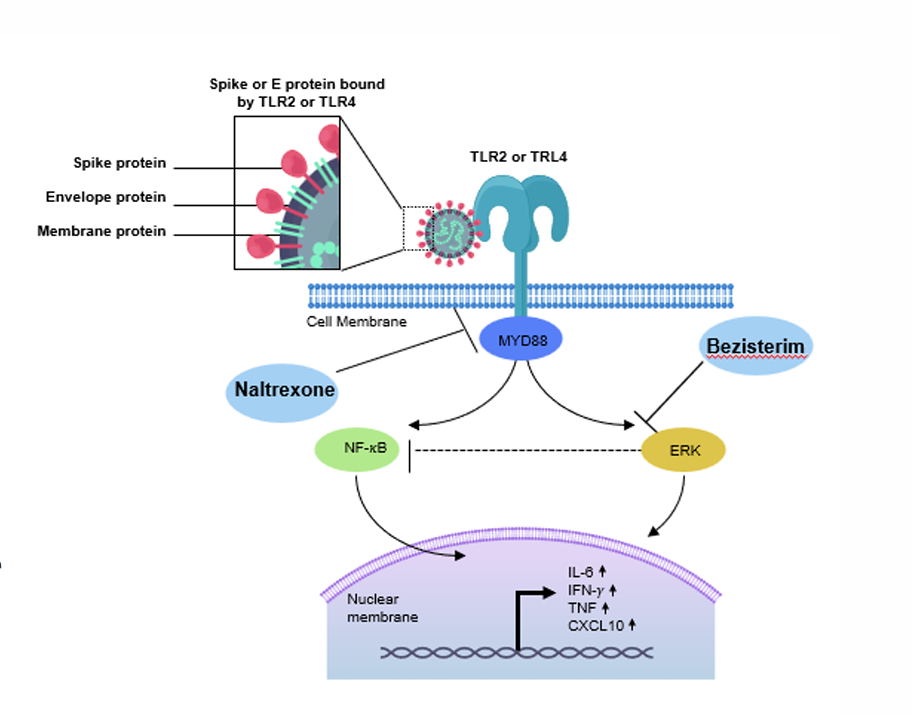 Bezisterim pathway