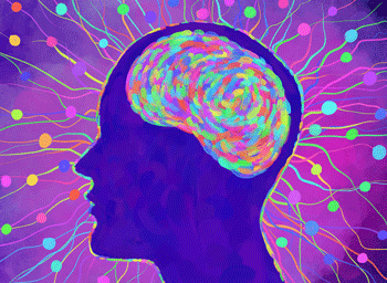 brain energy