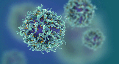 T-cells